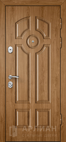 Фото «Дверь с МДФ №101»